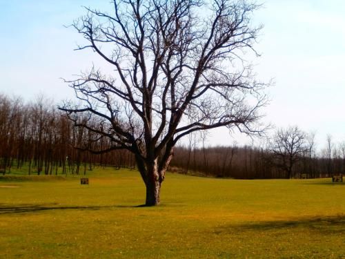 Outdoor Pictures 3