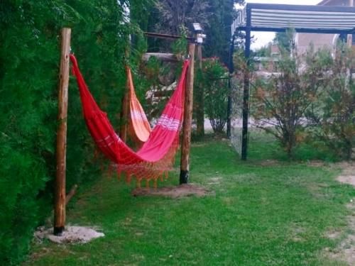 Outdoor Pictures 6