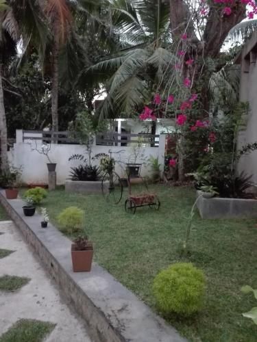Outdoor Pictures 1