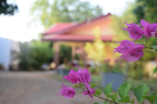 Outdoor Pictures 24