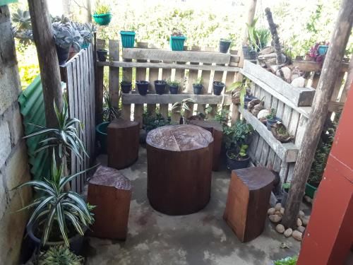 Outdoor Pictures 11