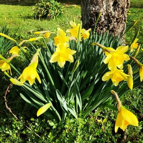 Outdoor Pictures 7