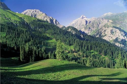 Outdoor Pictures 21