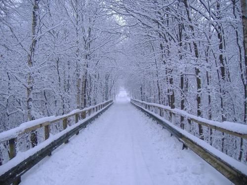 Outdoor Pictures 1