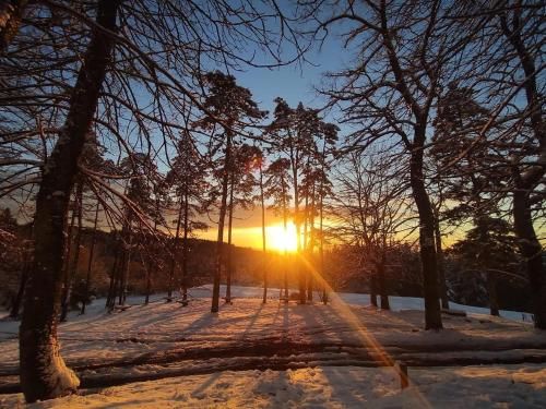Outdoor Pictures 7