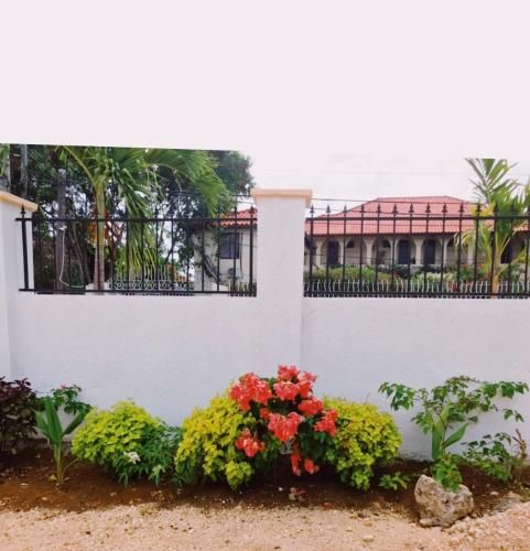 Outdoor Pictures 3