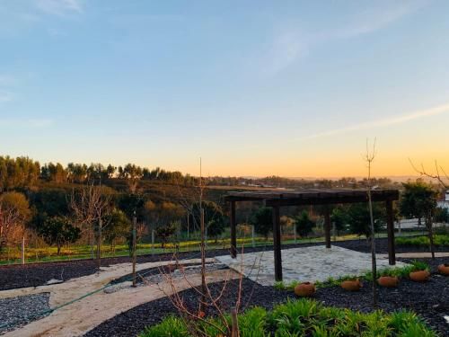 Outdoor Pictures 21