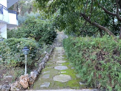Outdoor Pictures 16