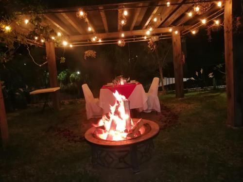 Outdoor Pictures 24