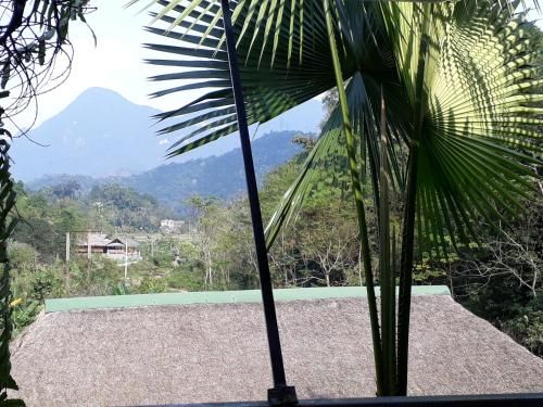 Outdoor Pictures 15