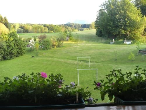 Outdoor Pictures 10