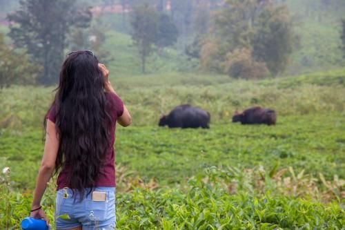 Outdoor Pictures 13