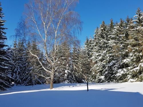 Outdoor Pictures 10