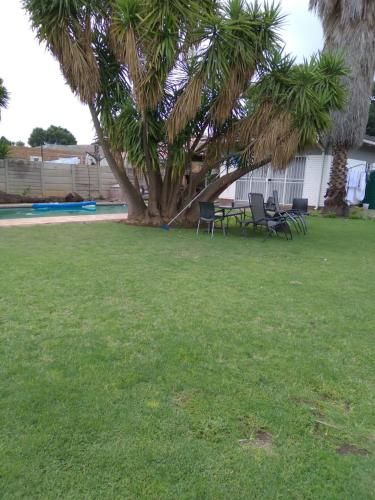 Outdoor Pictures 4