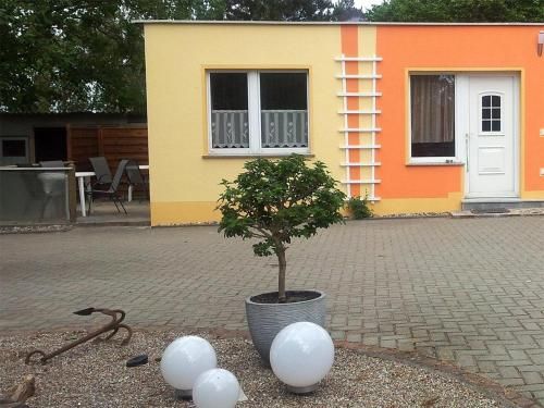 Outdoor Pictures 1