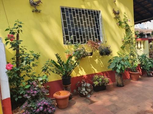 Outdoor Pictures 5