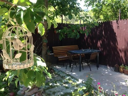 Outdoor Pictures 9