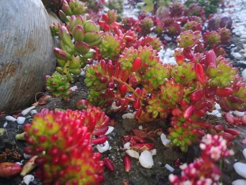 Outdoor Pictures 7