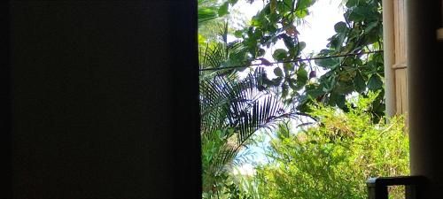 Outdoor Pictures 8
