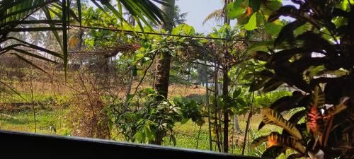Outdoor Pictures 10