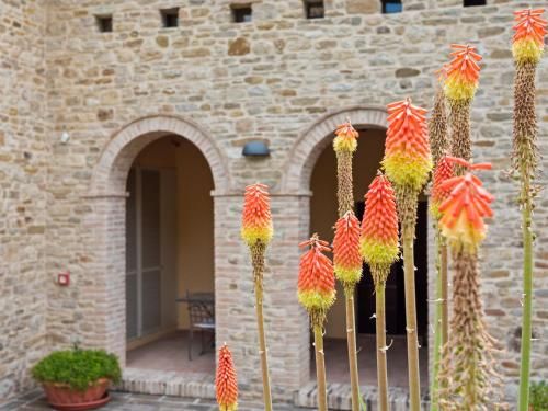 Beautiful Villa in Belforte all'Isauro with Swimming Pool