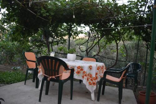 Outdoor Pictures 5