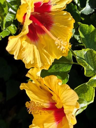 Outdoor Pictures 24