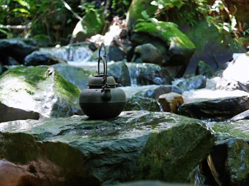 Outdoor Pictures 22