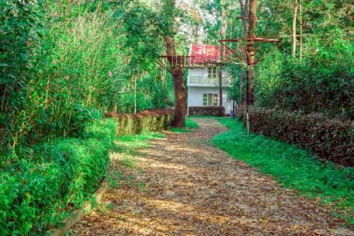 Outdoor Pictures 22