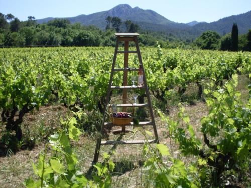 B&b Guest House Domaine le Clos du Pavillon Provence