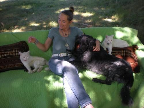 B&b Guest House Domaine le Clos du Pavillon Provence