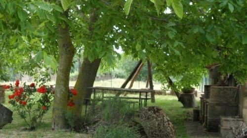 Outdoor Pictures 5