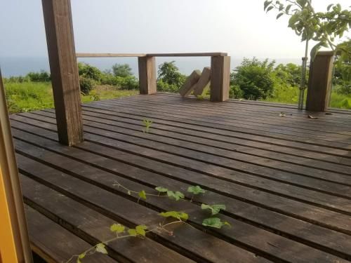 Outdoor Pictures 1