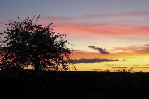 Finca El Cerco