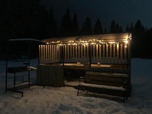 Outdoor Pictures 3