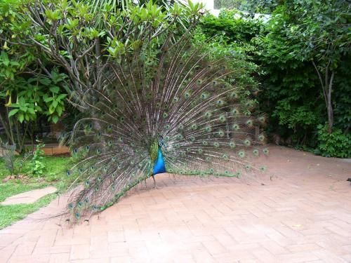 Outdoor Pictures 15