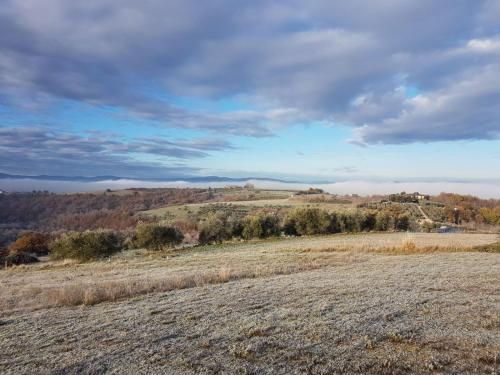 Outdoor Pictures 24