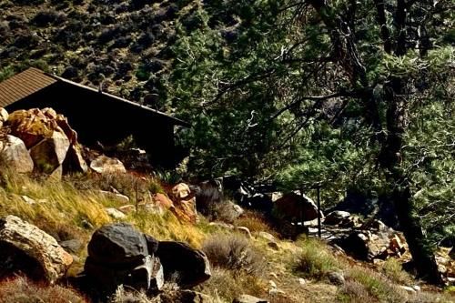 Outdoor Pictures 7
