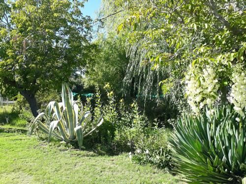 Outdoor Pictures 17