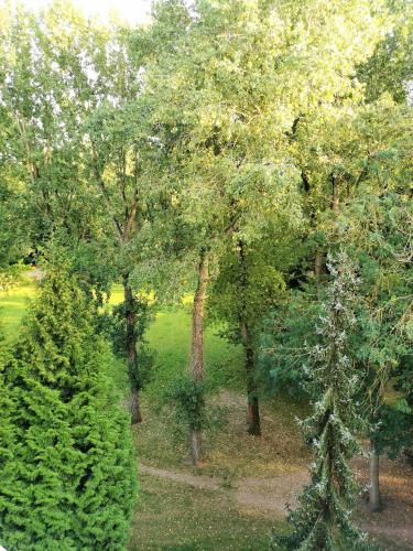 Outdoor Pictures 9