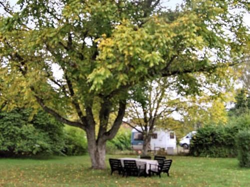 Outdoor Pictures 14