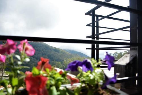 Outdoor Pictures 11