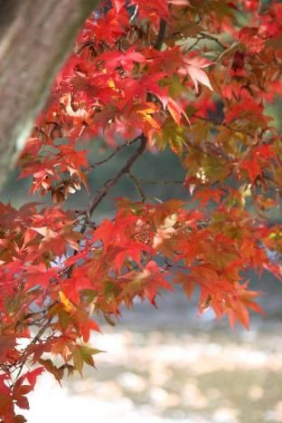 Outdoor Pictures 4