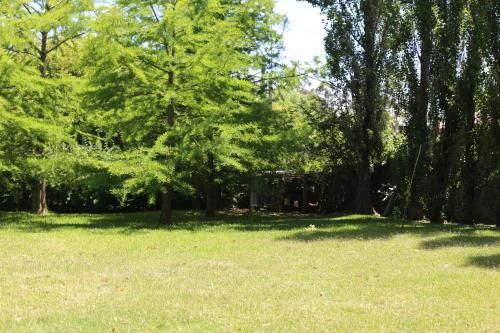 Outdoor Pictures 15