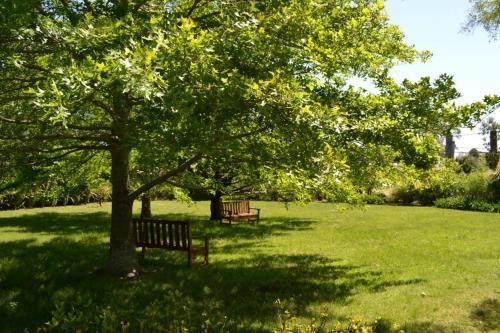 Outdoor Pictures 20