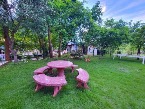 Outdoor Pictures 9