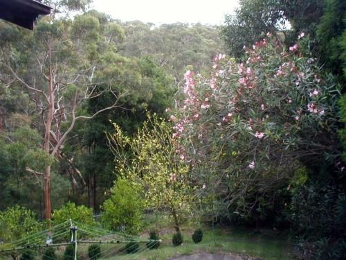 Outdoor Pictures 7