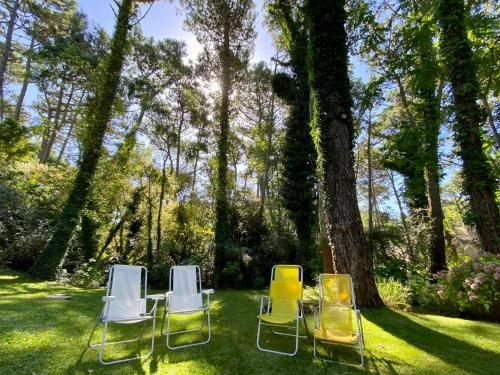Outdoor Pictures 9