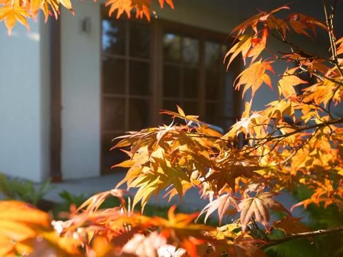 Outdoor Pictures 21
