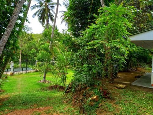Outdoor Pictures 23